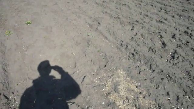 вспашка отвальная Vs безотвальная.
