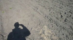 вспашка отвальная vs безотвальная.