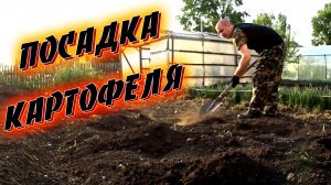 Посадка картофеля \ Влоги каждый день \ Влоги \ SHURIKI