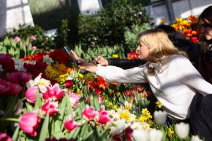 В "Аптекарском огороде" распустились тысячи тюльпанов / Город новостей на ТВЦ