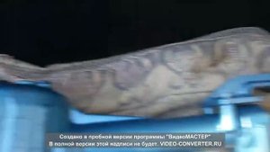 быстросъем правого привода перед редуктора Сузуки Эскудо