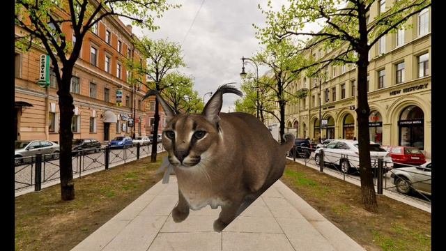 Шлёпинск 1 часть