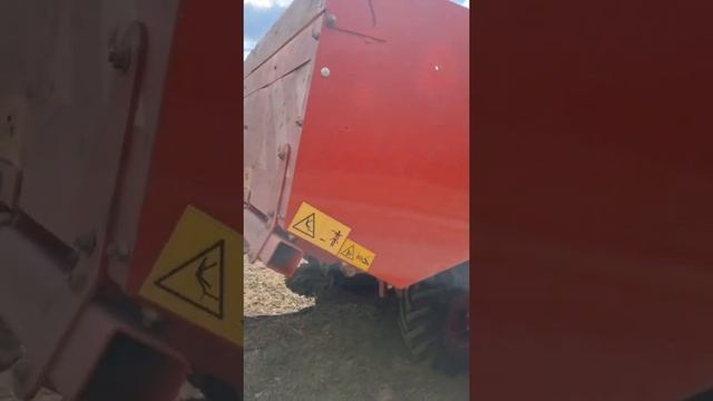 Посевная 2022. Сорт картофеля "Незнакомец". смотреть онлайн