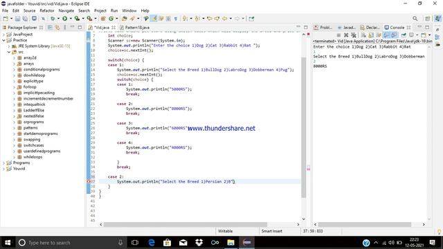 Using Switch Cases for Online Pet Store in Java Eclipse | | Java смотреть онлайн