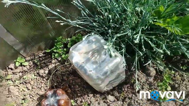 Деревенский фитнес смотреть онлайн