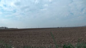 МТЗ 1221,1222 работают на культивации