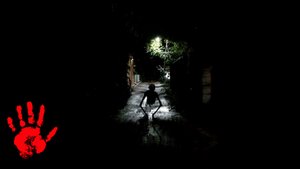 В ЧЕРНОБЫЛЕ РАЗМНОЖАЮТСЯ СТРАННЫЕ СУЩЕСТВА