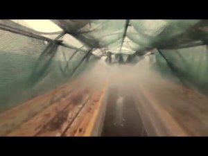 Улиточная ферма в Дании - наш друг улитковод