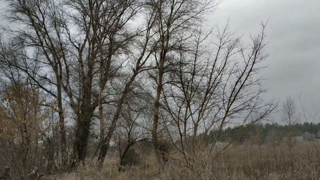 7 января  праздник  РОЖДЕСТВО ХРИСТОВО . народные традиции .