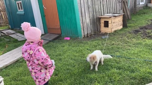 Купили кухонный стол. Клеим обои в зале. Пошли искать котёнка. смотреть онлайн