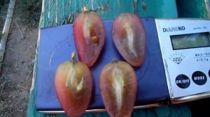 Виноград 2017 (часть 4) Максим Мойсеенко