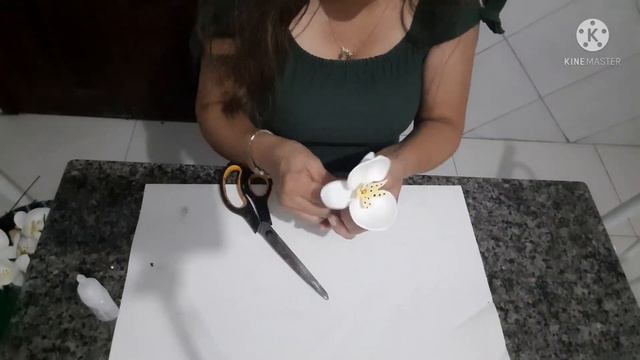 ORQUÍDEA PHALAENOPSIS NOVA BEM FÁCIL BJSSSS. смотреть онлайн