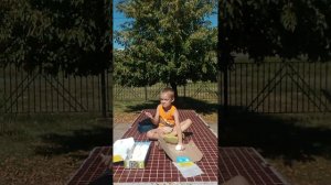 Распаковка Набор для раскопок Яйца динозавров 12 шт