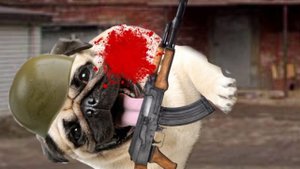 Сериал Мопсы против котов 2 серия | Анимация Мопсы