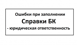 Ошибки при заполнении Справки БК-юридическая ответственность