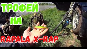 Трофей на Rapala X-Rap с Алиэкспресс. Разловил DUO Realis от Bearking, Jackall Magallon.mp4