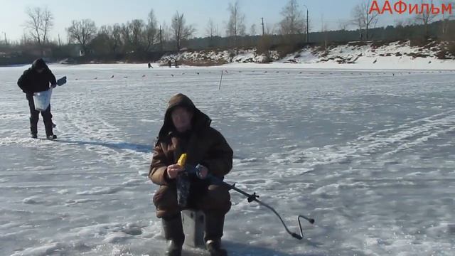 Соревнования по лову рыбы со льда г.Кинешма ,часть вторая. смотреть онлайн