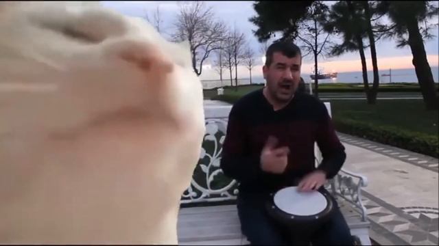 levan polka смотреть онлайн