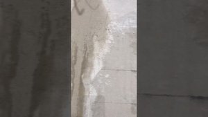 слаботочка /прокладка интернета и вай фай в квартире /ремонт квартиры с нуля