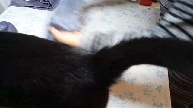 Нарядное платье с запахом и НАГРУДНОЙ ВЫТАЧКОЙ. Часть 2 ОБРАБОТКА смотреть онлайн