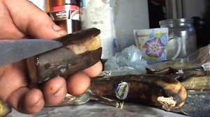 Выращиваем бананы из семян бананов-Grown bananasgrow from ceeds bananas