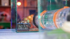 Террариум для ПТИЦЕЕДА с ПУСТЫНЕЙ, ЗИМОЙ и ТРОПИКАМИ