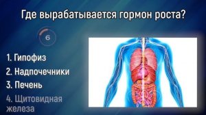 12 Сложных Вопросов Для Тех, Кто Может Похвастаться Энциклопедическими Знаниями! | Вспоминая былое