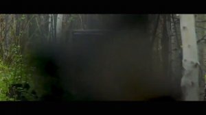 Лук блочный Grim. Настройка и пристрелка