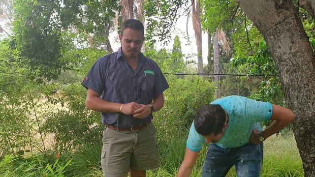 EverColor Everillo mass plantation in a shade garden смотреть онлайн