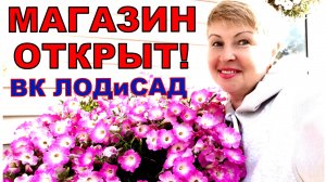 Где заказать профсемена красивых цветов и отличных овощей_ Вас ждут более 200 сортов Петуний (1)