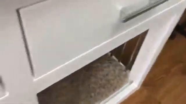 Клетка комод для собаки "Бостон". Вольер в квартиру для собак. Клетка для бигля в квартиру смотреть онлайн