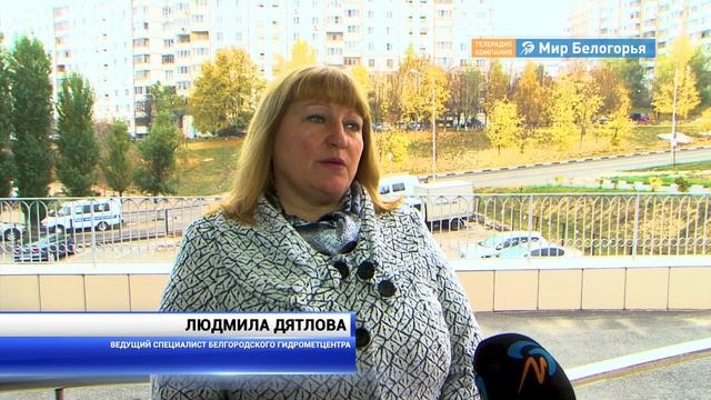 В Белгородской области похолодает смотреть онлайн