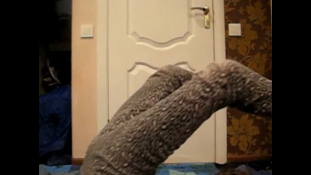 ★Гимнастический Challege★ Lady Alina смотреть онлайн