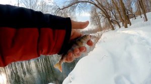 МИКРОДЖИГ И ДРОП-ШОТ ЗИМОЙ