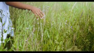 Косари на лугу размахалися острыми косами