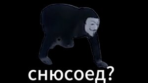 обзор на домашнего снюсоеда