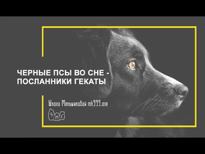 Черные псы во сне -  посланники Гекаты