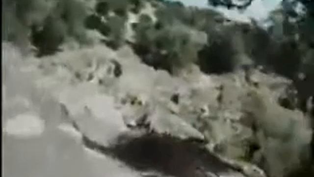 AliAbad ExFill смотреть онлайн