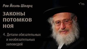 4. ДЕТАЛИ ОБЯЗАТЕЛЬНЫХ И НЕОБЯЗАТЕЛЬНЫХ ЗАПОВЕДЕЙ \ Рав Йоэль Шварц