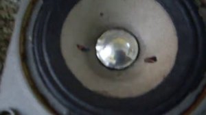 Замена подвеса динамика  20ГДС 3  акустики Амфитон 100АС 022 на бумажный