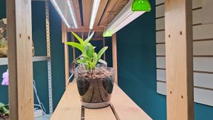 Как подвесить лампы и лайны Минифермер на стеллаже