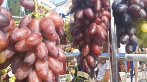 Золотая гроздь Украины 2021 . Новые селекции винограда .