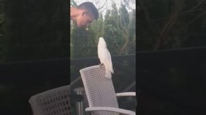 Кто в доме хозяин