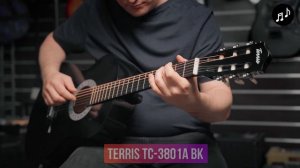 ТОП акустических гитар до 5000 рублей