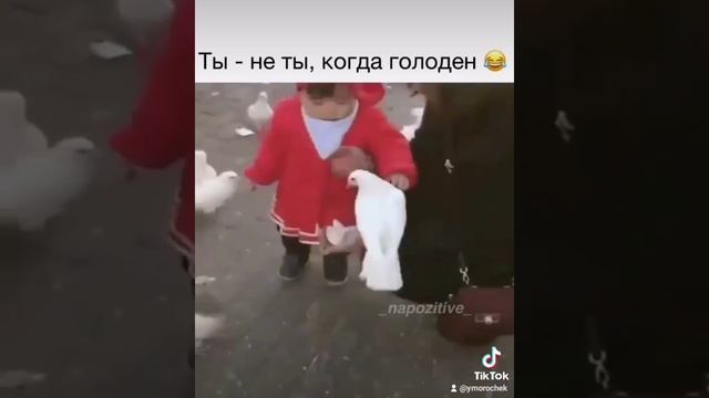 Приколы, ты не ты когда голоден???