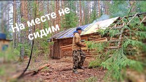 День с пользой! Изба своими руками. Усадьба расцветает. One built a forest cottage. DIY