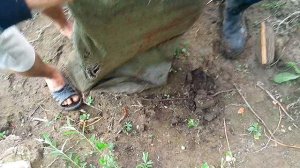 Такая рыбка в реке Урал в Переволоцком районе