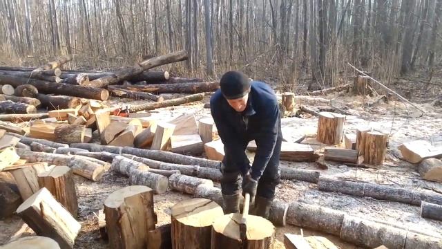 Распилка + Колка Дров в Лесу смотреть онлайн