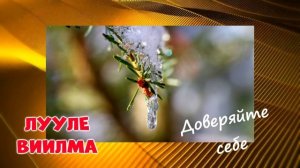 ДОВЕРИЕ  к себе //ЛУУЛЕ ВИИЛМА