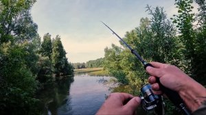 УНИКАЛЬНАЯ РЫБАЛКА! Ловим на лайт из трубы. Рыбалка на микроджиг в странном месте.